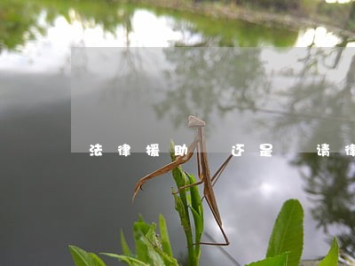 法律援助 还是 请律师 法律援助 还是 请律师